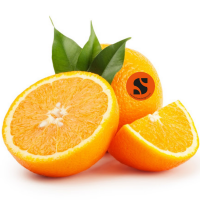 Washington Orange...